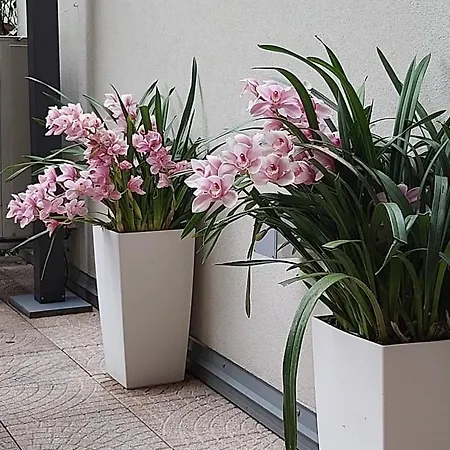 לינה וארוחת בוקר Smart House Luxury ברגמו
