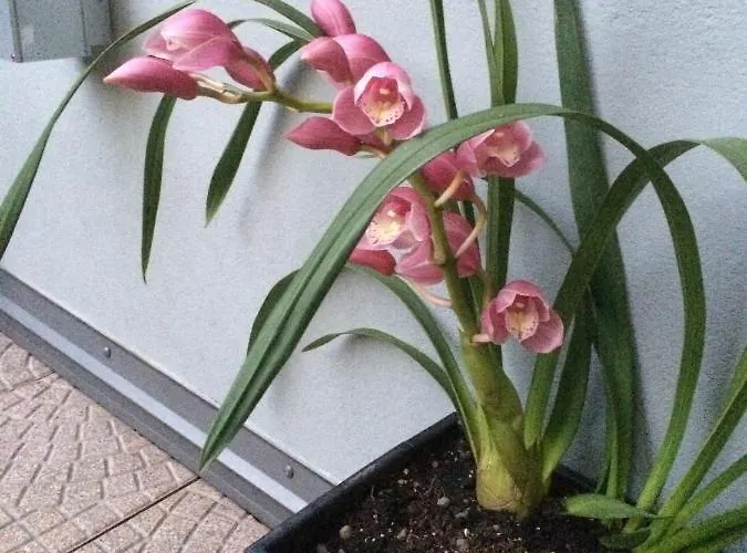 Smart-house Rent-rooms Free Parking Bed and Breakfast